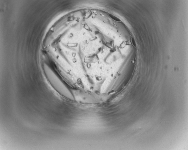 X0000087681056200706011649