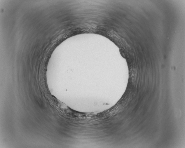 X0000087681057200706011648