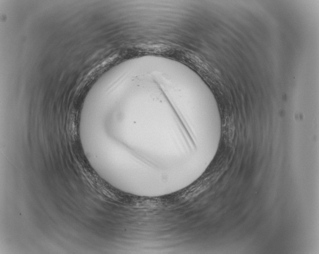 X0000087681058200706011648