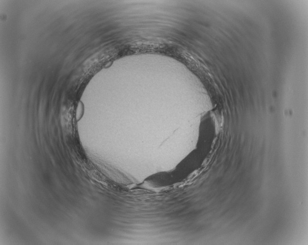 X0000087681059200706011648