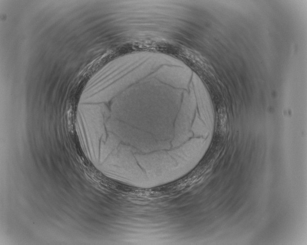 X0000087681060200706011648