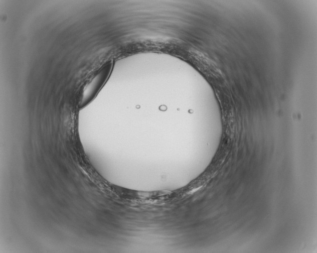 X0000087681061200706011648