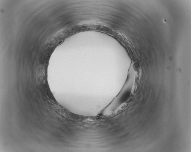 X0000087681062200706011648