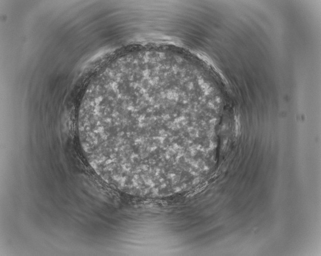 X0000087681063200706011648