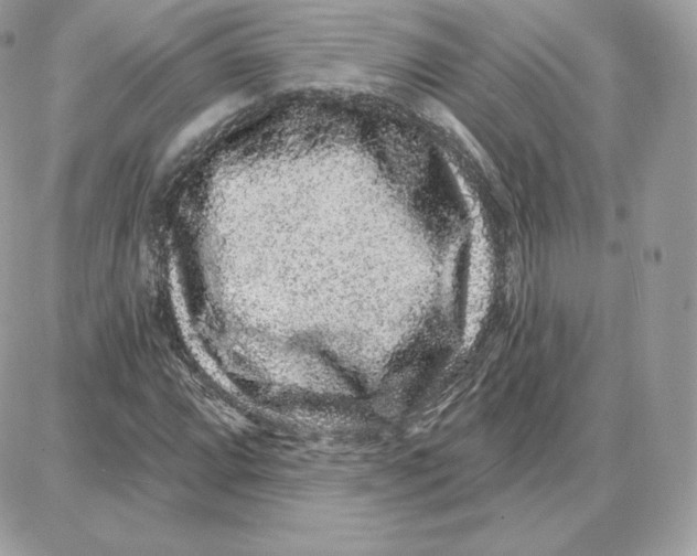 X0000087681064200706011648