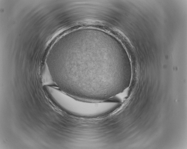 X0000087681065200706011648