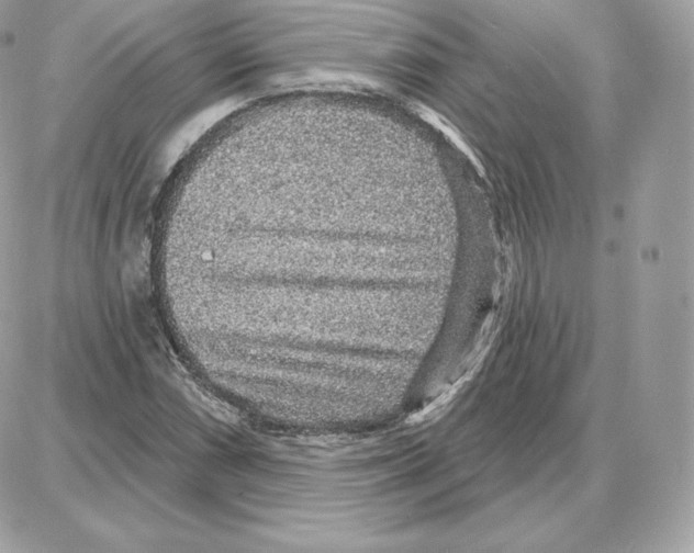 X0000087681066200706011648