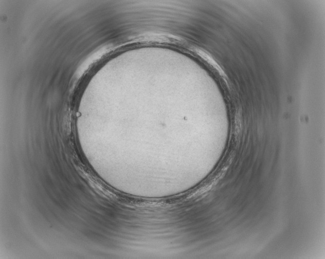 X0000087681067200706011648