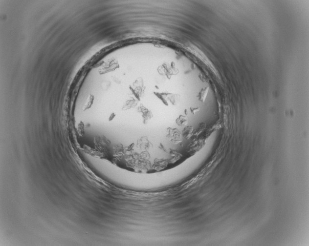 X0000087681068200706011648