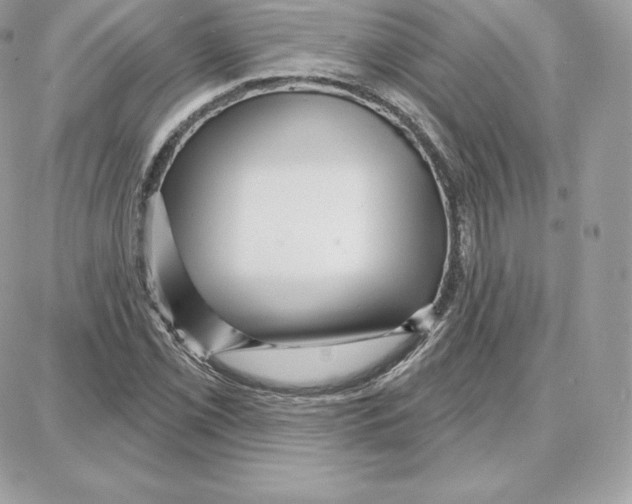 X0000087681069200706011648