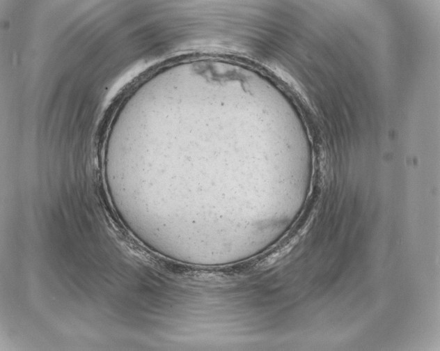 X0000087681070200706011648