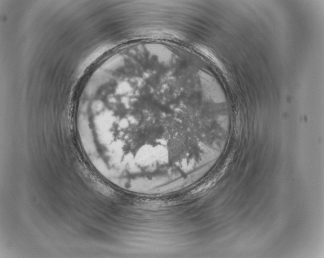 X0000087681071200706011648