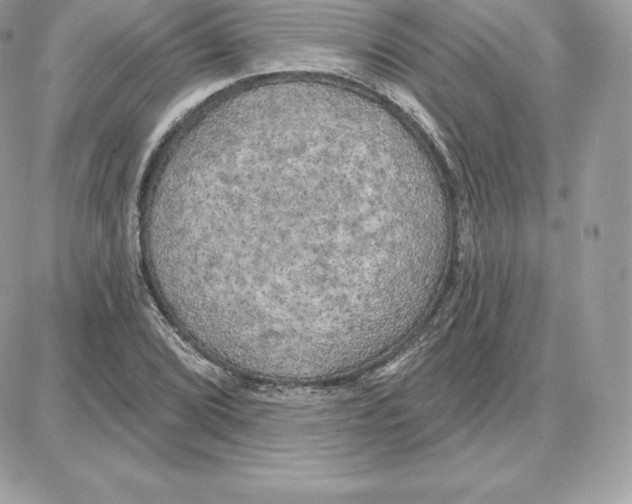 X0000087681072200706011648