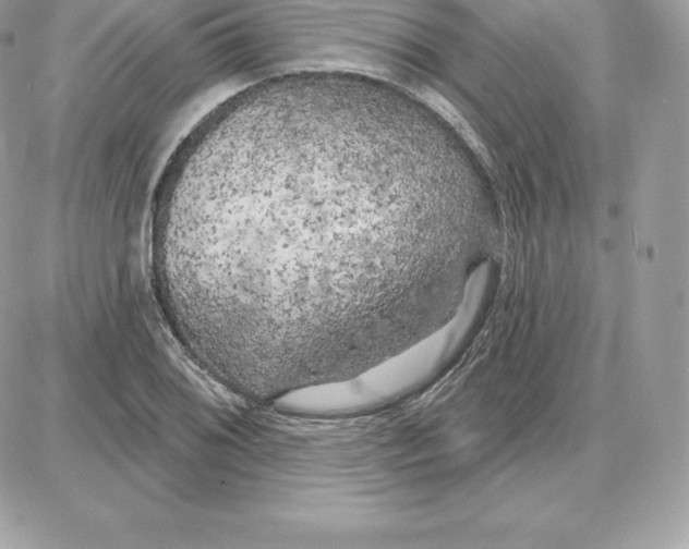 X0000087681076200706011648