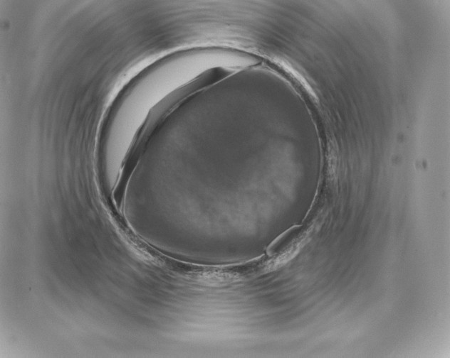 X0000087681077200706011648