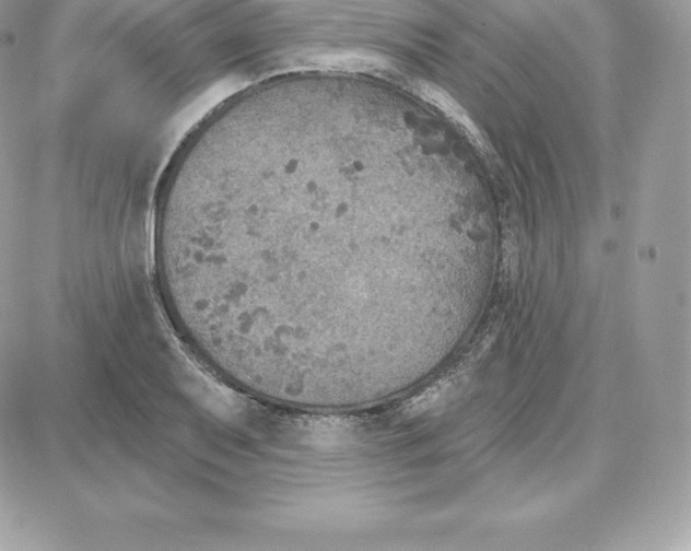 X0000087681079200706011648