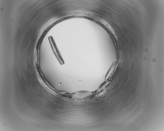 X0000087681080200706011648