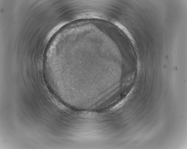 X0000087681081200706011648