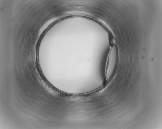 X0000087681082200706011648