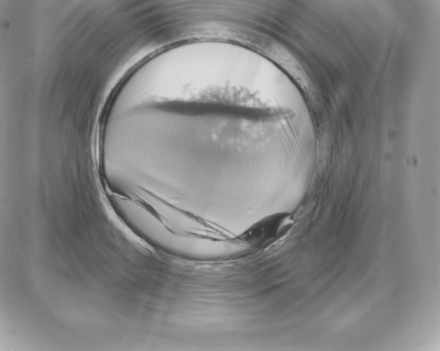 X0000087681084200706011648