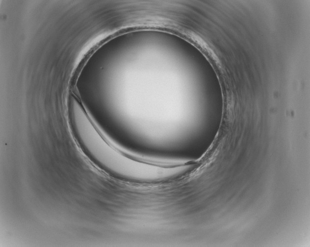 X0000087681085200706011648