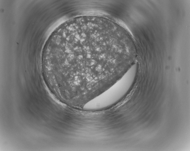 X0000087681087200706011648