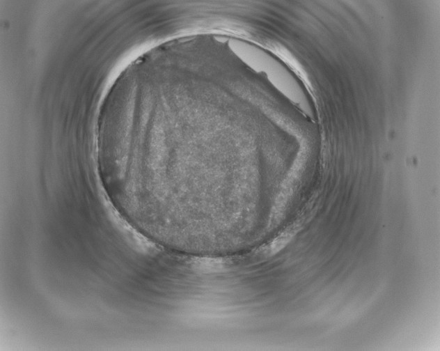 X0000087681088200706011648