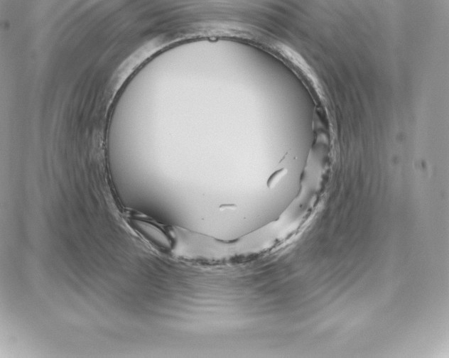 X0000087681089200706011648