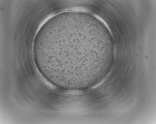 X0000087681091200706011648