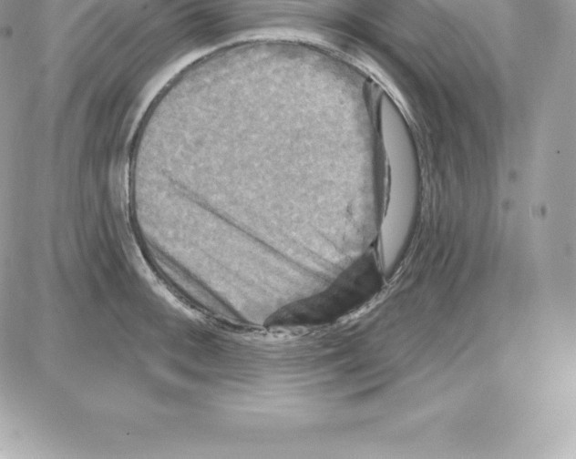 X0000087681092200706011648