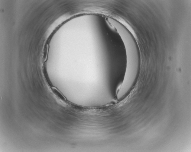 X0000087681093200706011648