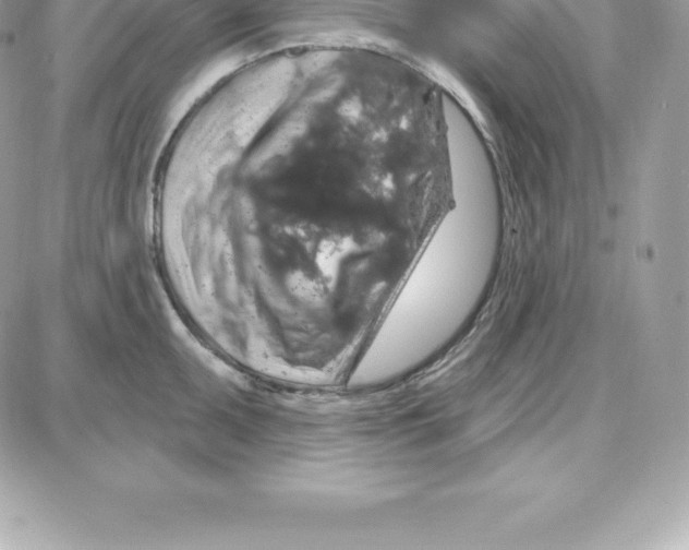 X0000087681095200706011648