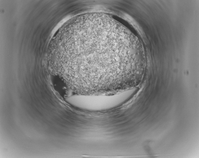 X0000087681097200706011648