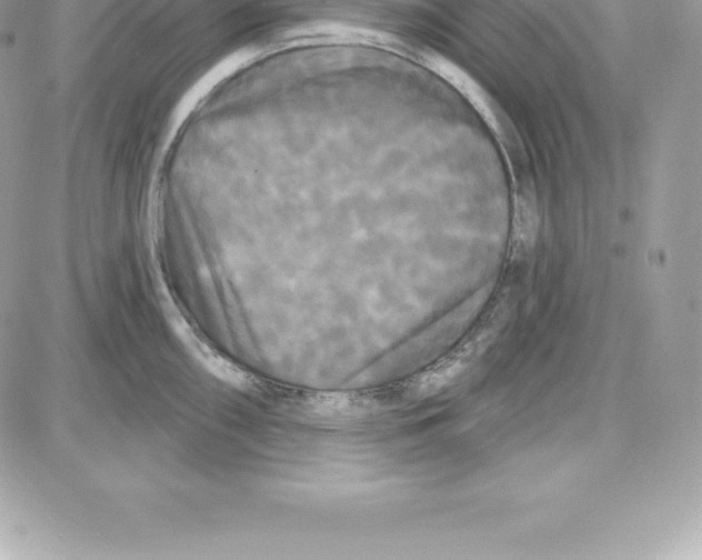 X0000087681098200706011648