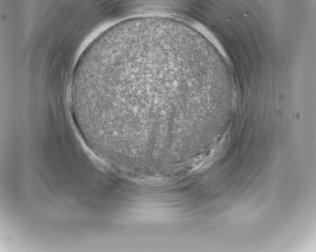 X0000087681101200706011648