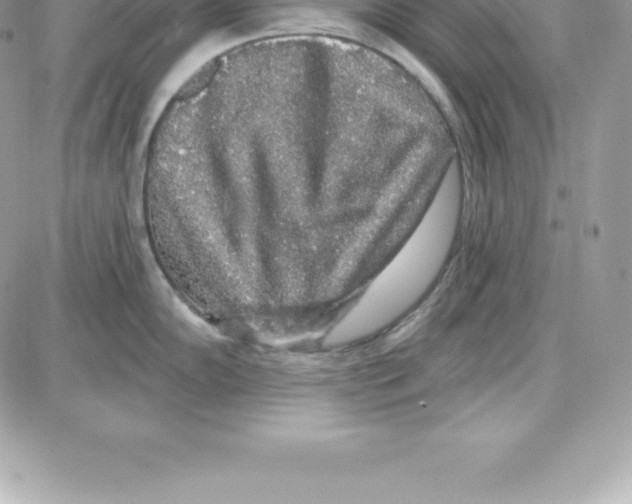 X0000087681102200706011648