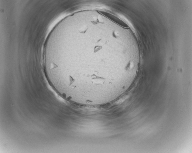 X0000087681103200706011648