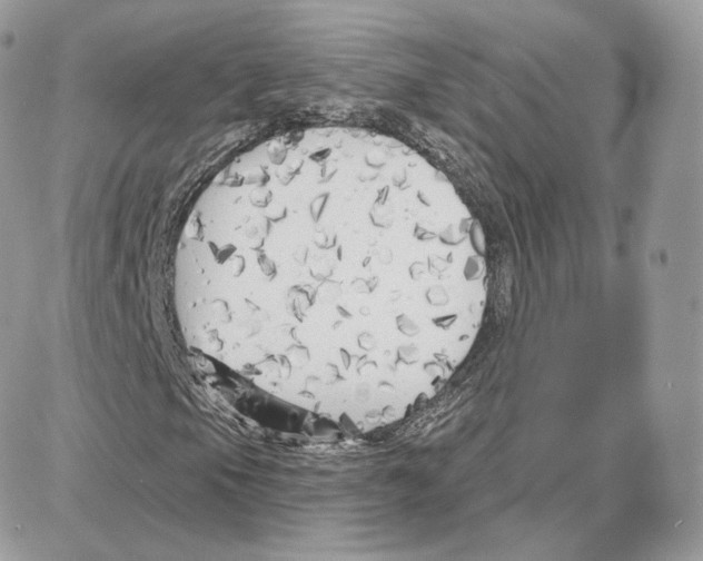 X0000087681105200706011647