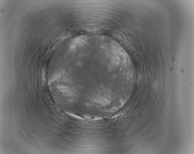 X0000087681106200706011647