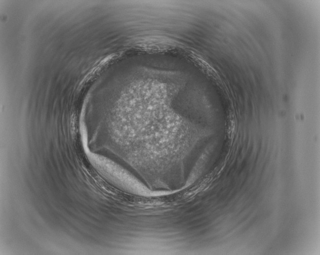 X0000087681108200706011647