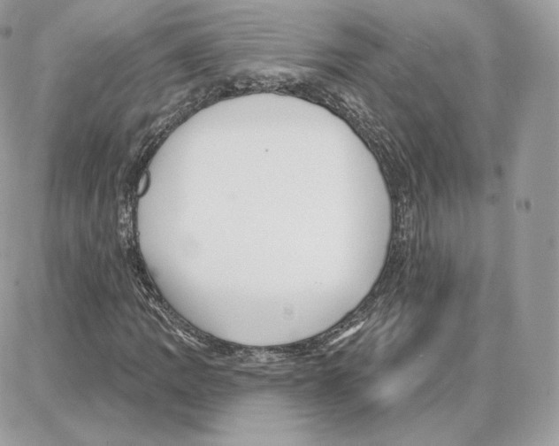 X0000087681109200706011647