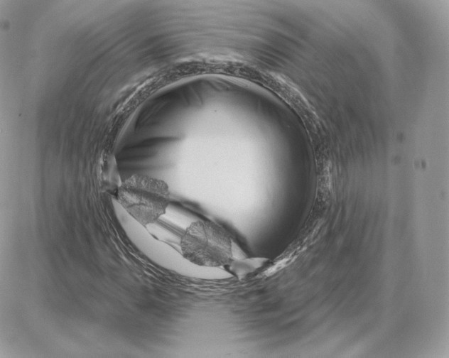 X0000087681110200706011647