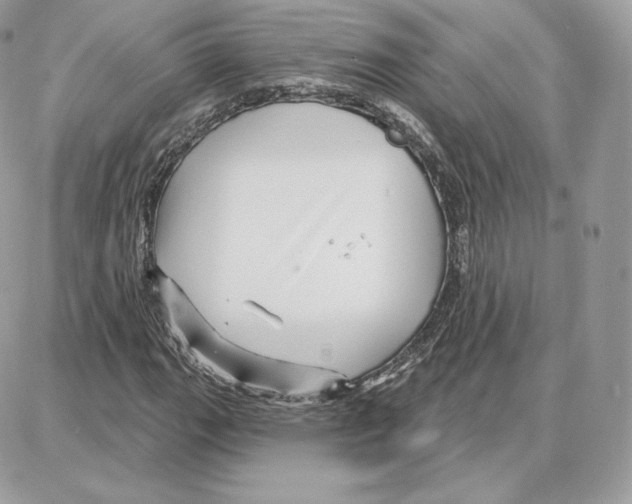 X0000087681111200706011647