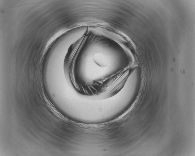 X0000087681114200706011647