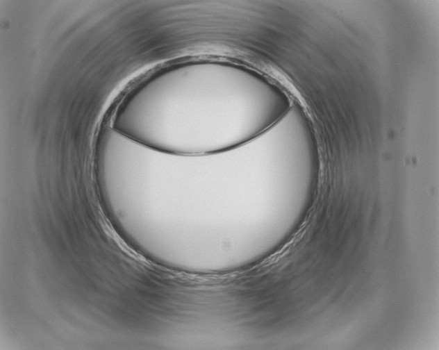 X0000087681116200706011647