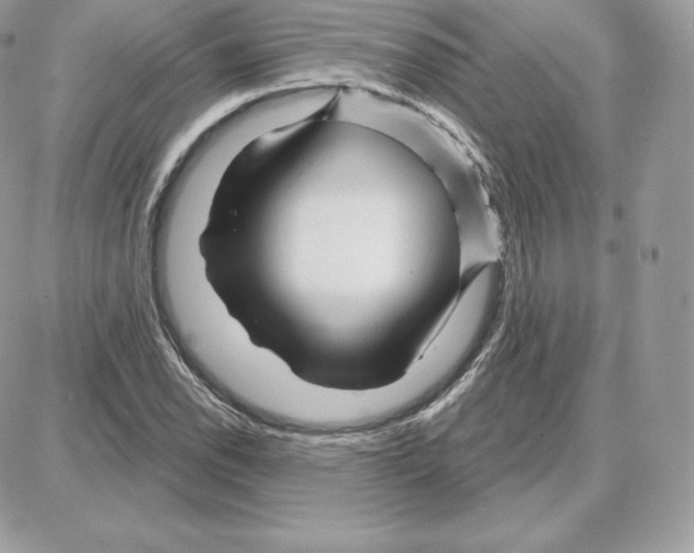 X0000087681118200706011647