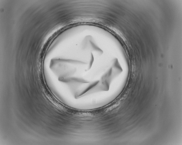 X0000087681119200706011647