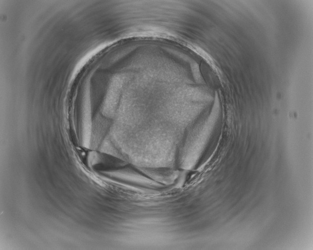 X0000087681120200706011647