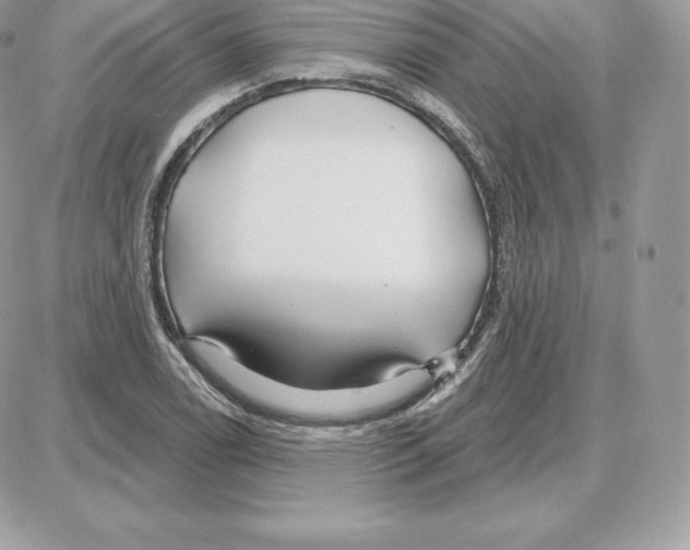 X0000087681122200706011647