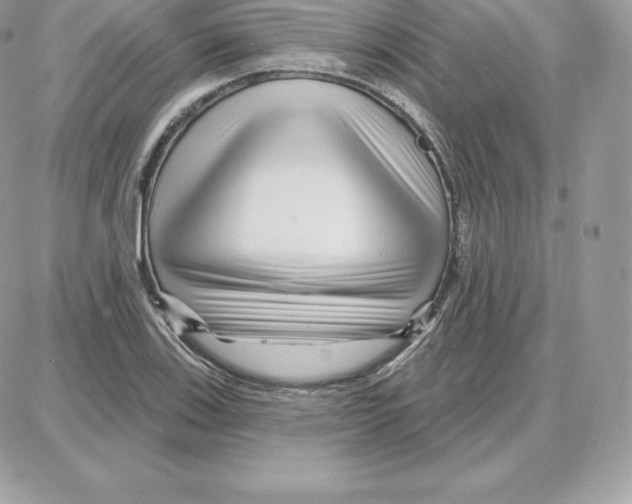 X0000087681123200706011647